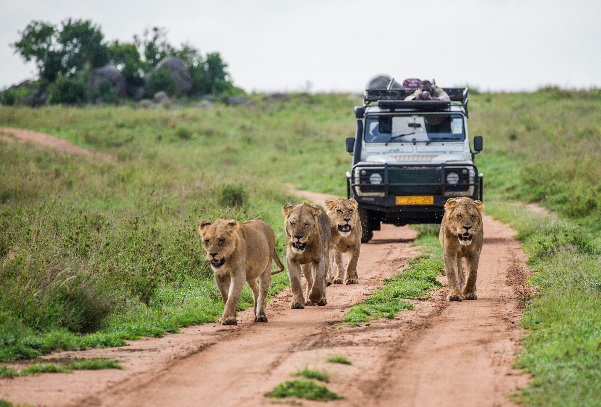 Sasan Gir experience